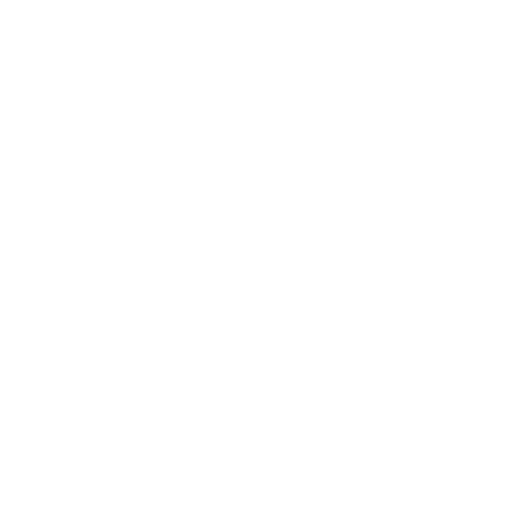 certificate icon